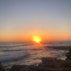 Meet your Posher, Betsy